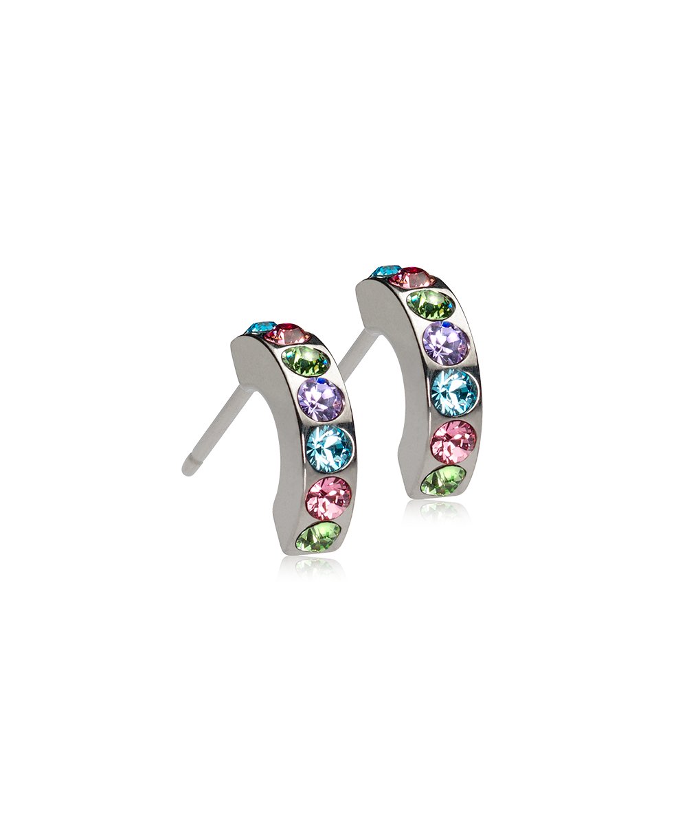 Brilliance Curved Light Fantasy Titanium øreringe med krystal